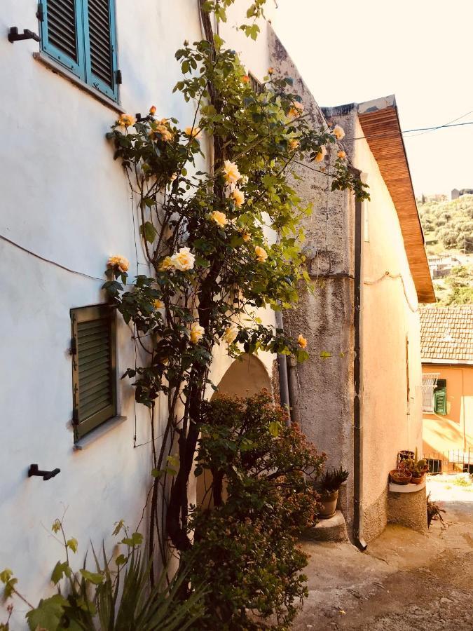 Ferienwohnung Piccola Navetta Diano San Pietro Exterior foto
